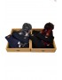 2915015 BUFANDA+GORRO+GUANTES